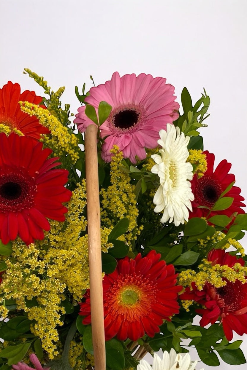 Cesta de Gérberas Coloridas
