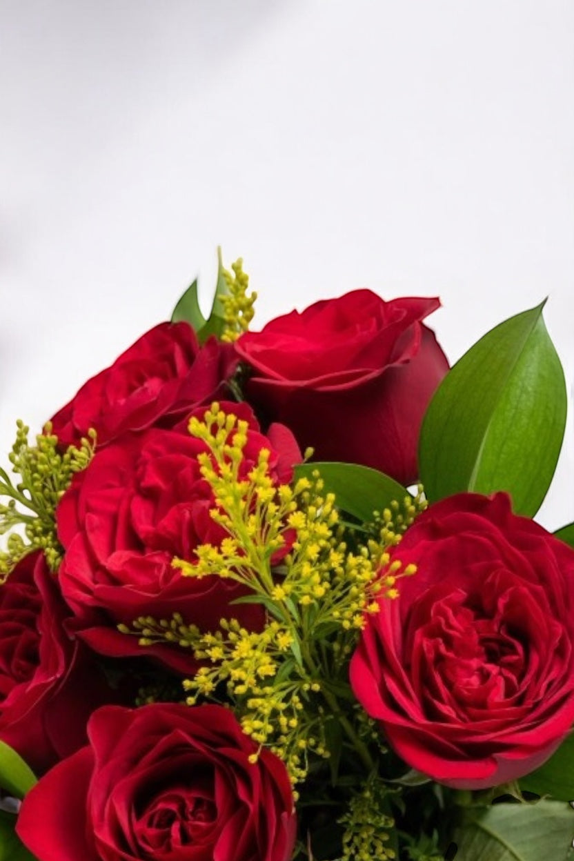 Cone de Rosas Vermelhas