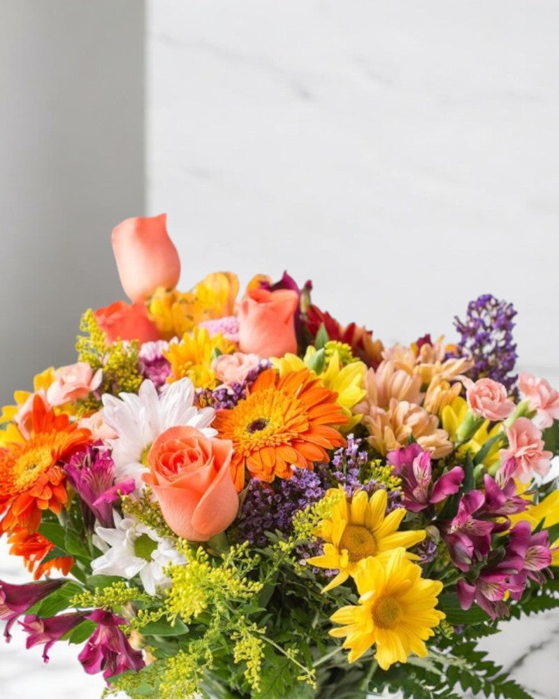 Flores do Campo no Vaso