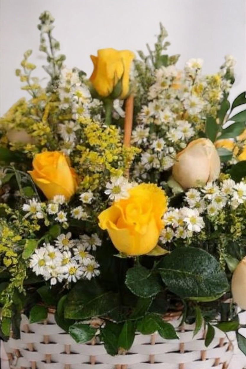 Cesta Rosas Mini Margaridas Solar