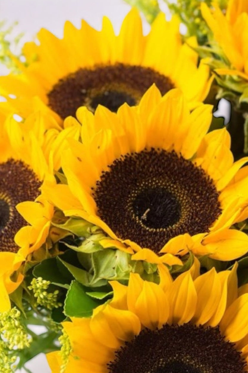 Buquê de Girassóis