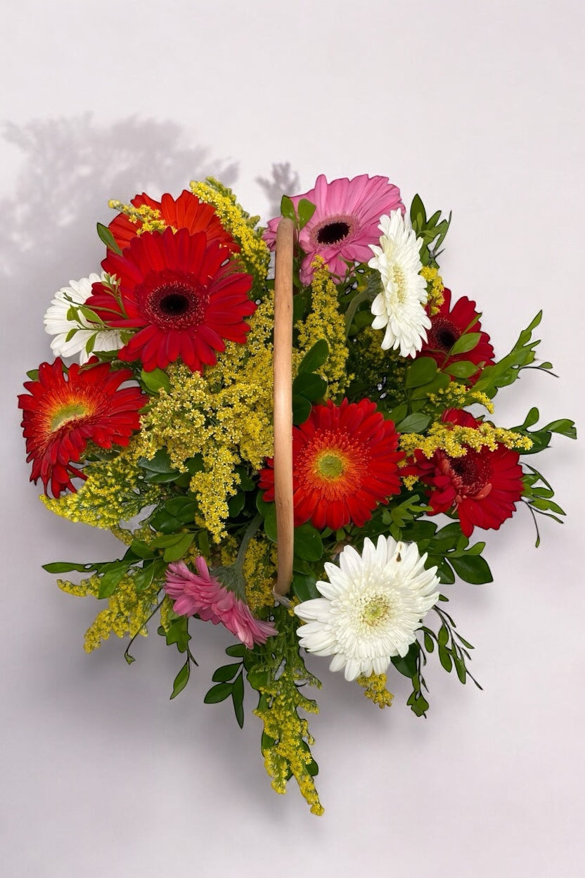 Cesta de Gérberas Coloridas