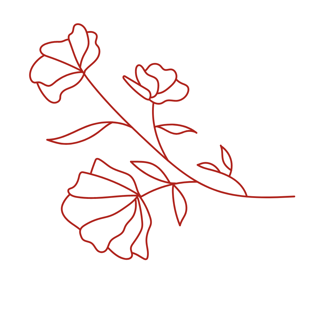 Alt image