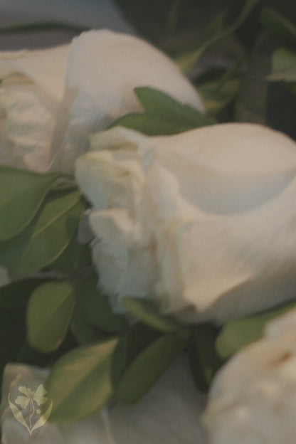 Combo - Cone de Rosas Brancas