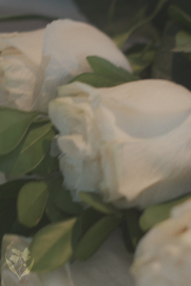 Combo - Cone de Rosas Brancas
